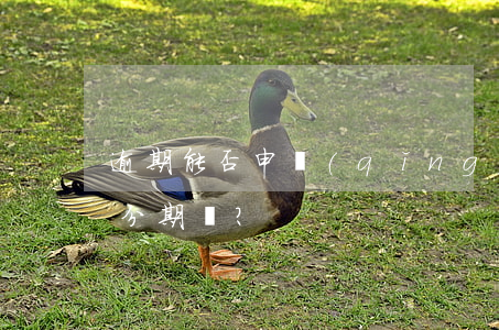 逾期能否申請(qǐng)信用卡、借款及分期？